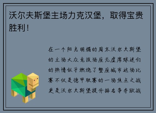 沃尔夫斯堡主场力克汉堡，取得宝贵胜利！